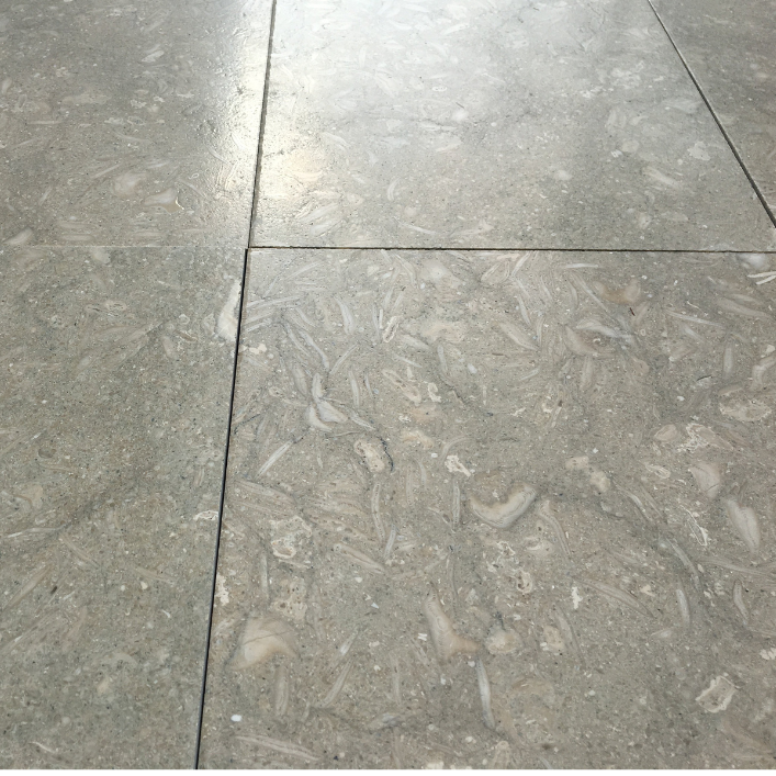 Seagrass Limestone Tile Hawaii Stone Imports